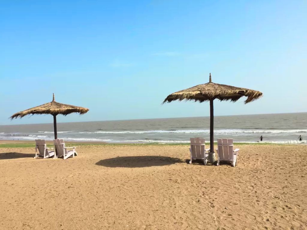 Image of the Day Trip to Mandvi Beach activity