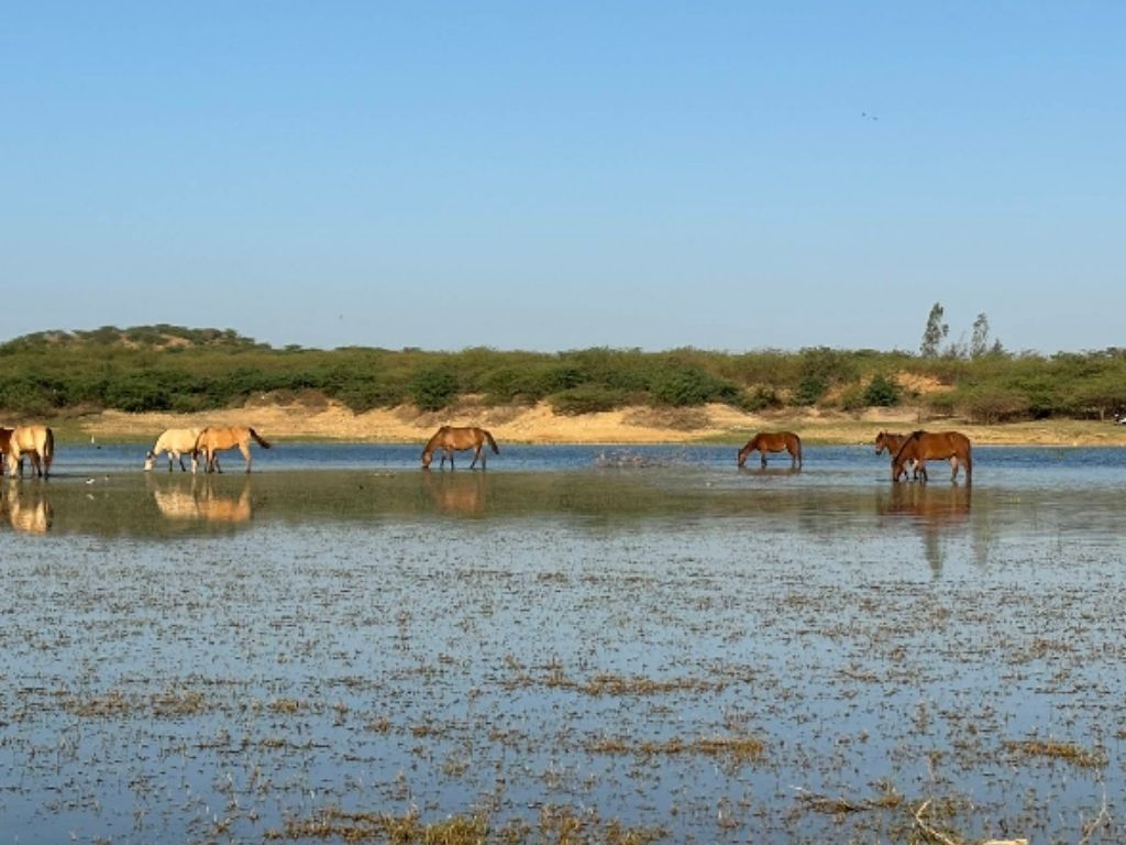 View of Bhuj GreenLand