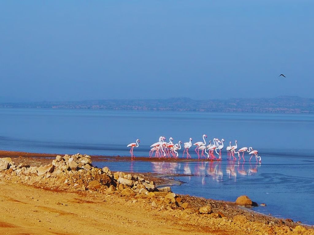 View of Little Rann of Kutch