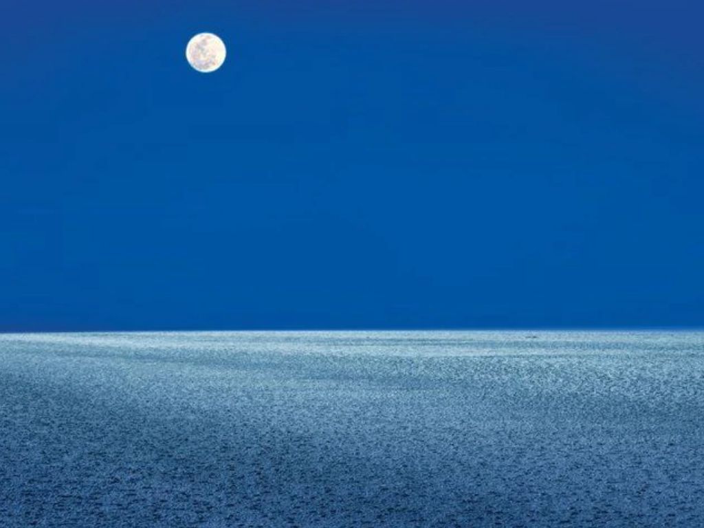 Image representing the White Desert Moonlight Experience activity in Kutch.