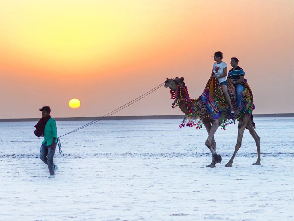 Image representing the Camel Ride activity in Kutch.