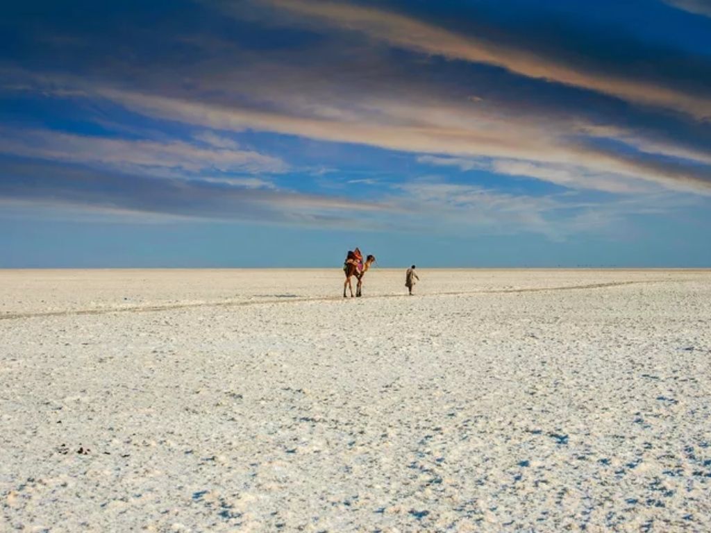 Image of Kutch’s white desert - Rann of Kutch, a tourist attraction in Dhordo, Gujarat, 370001