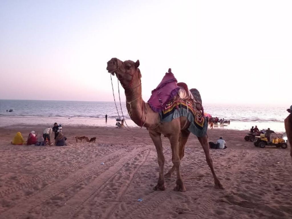 Image of Mandvi Beach and Windfarm, a tourist attraction in Mandvi, Gujarat 370465