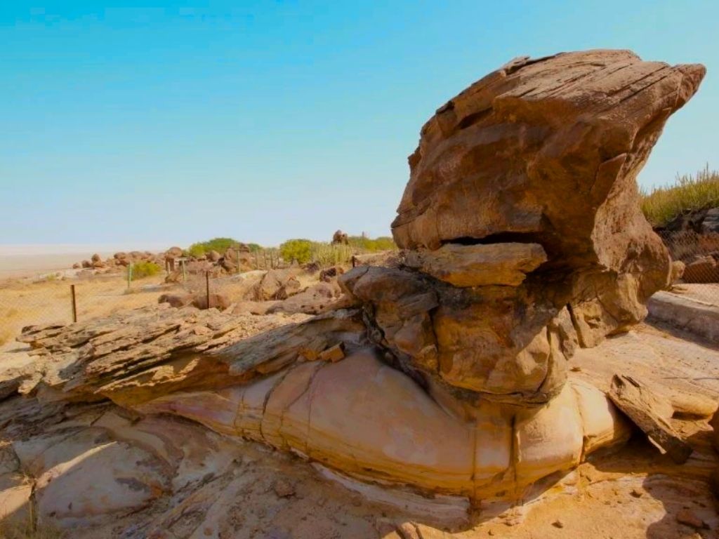 Image of WOOD Fossil Park - Dholavira, a tourist attraction in Dholavira, Rapar, Gujarat